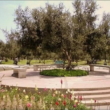 B&B El Olivar Лима Екстериор снимка