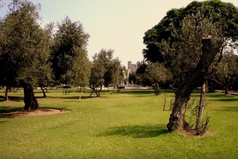 B&B El Olivar Лима Екстериор снимка