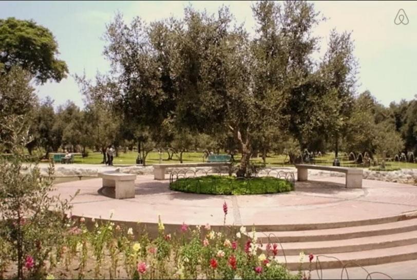 B&B El Olivar Лима Екстериор снимка